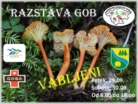 Razstava gob