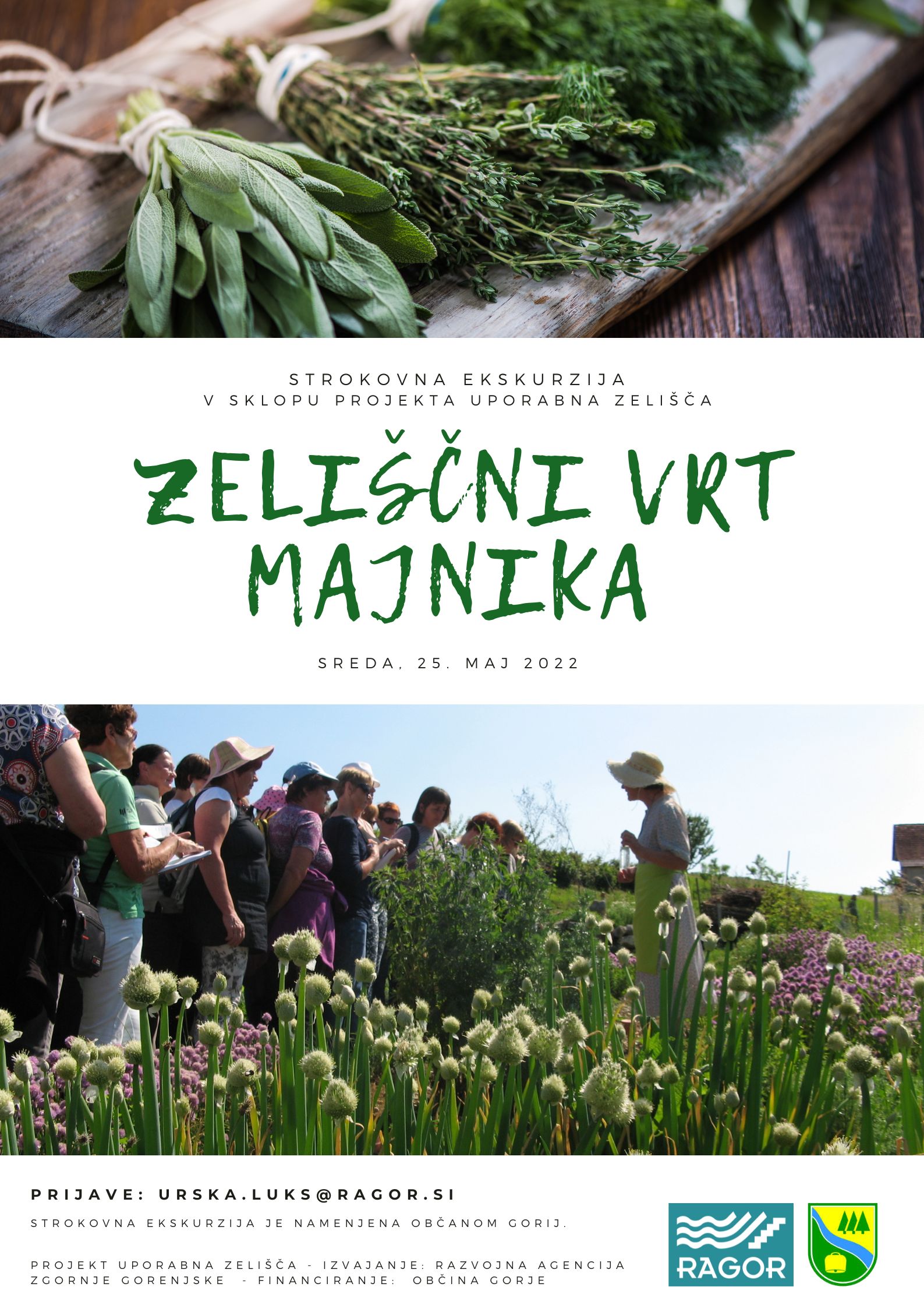 slika_Zelišča_Majnika_25052022-1.jpg